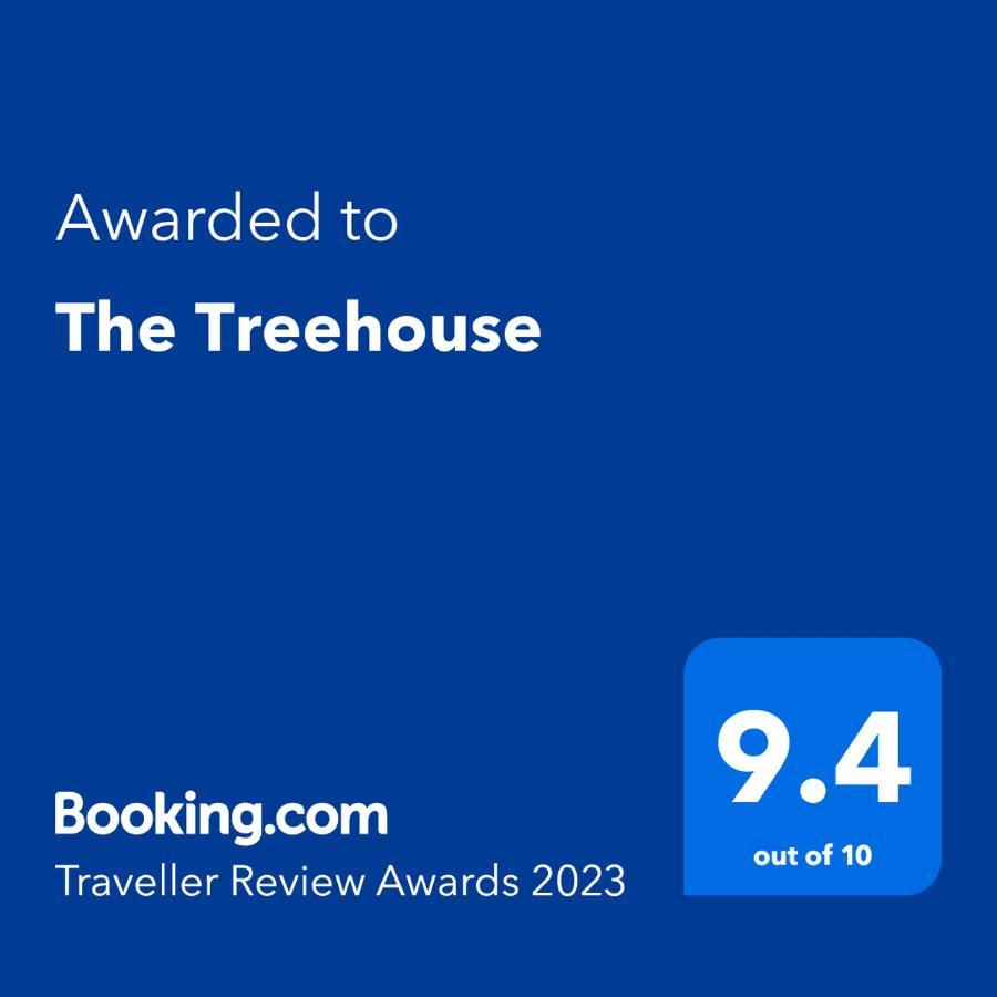 The Treehouse Lägenhet St. Petersburg Exteriör bild